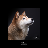 Anne WURTHLIN - PHOTO GRAPH